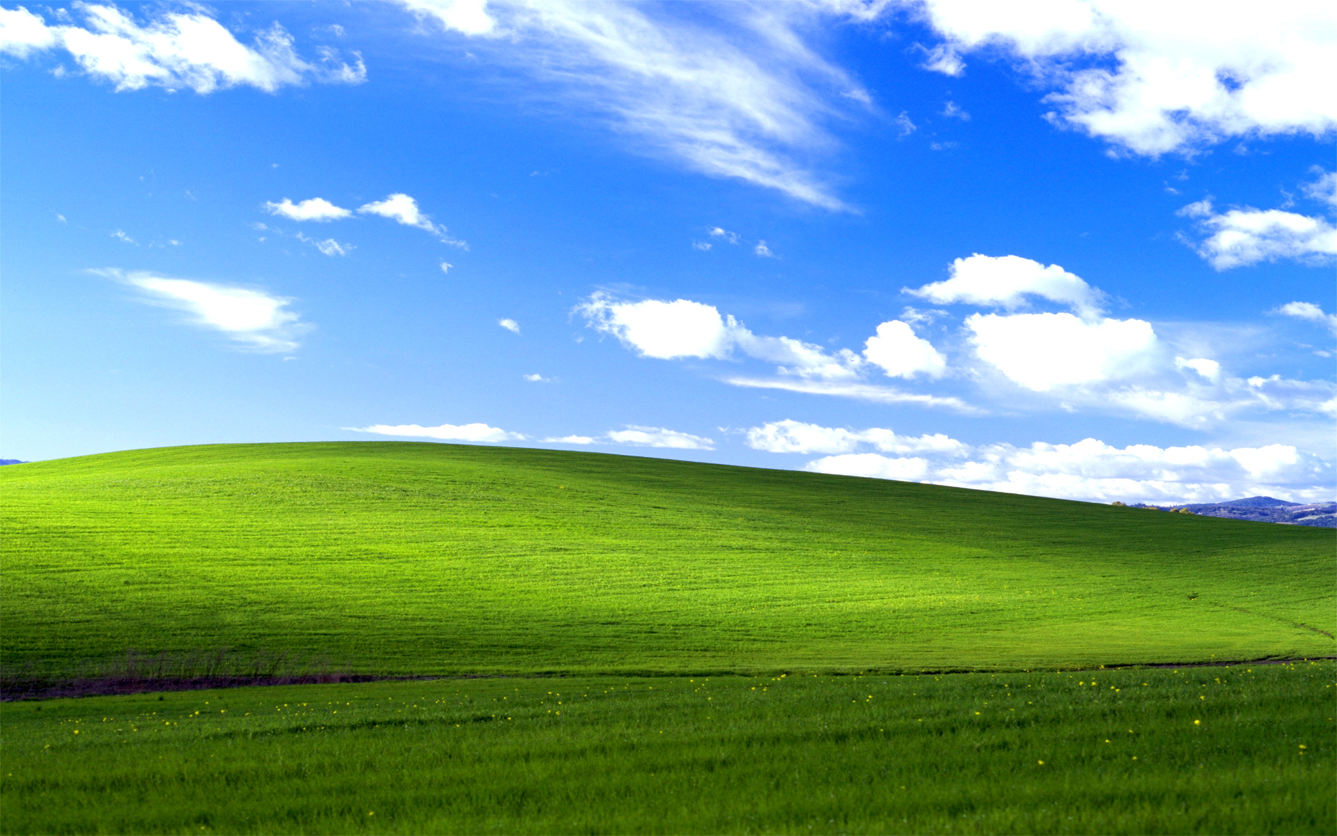 Fotografie číslo 4